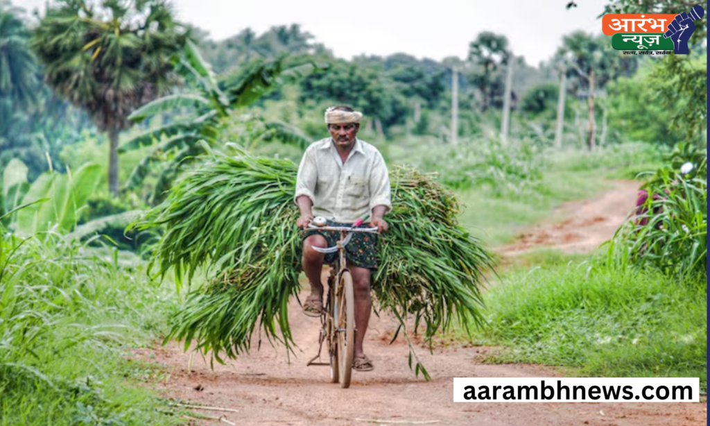 National Farmer's Day 2024: किसानों के सम्मान में एक महत्वपूर्ण दिन