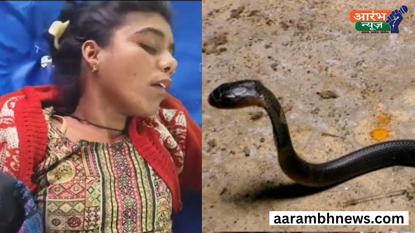 Mahoba News: एक ही साप ने युवती को काटा 11 बार, 5 सालों से नहीं छोड़ रहा है पीछा । 1 Mahoba News