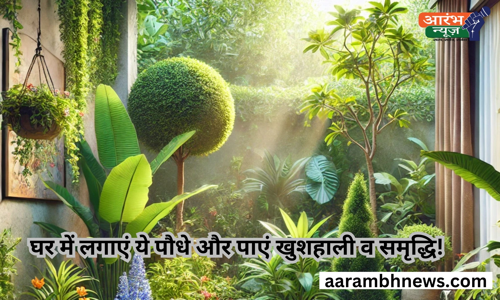 Vastu Remedies: घर में लगाए ये पौधे और पाएं सुख-समृद्धि, बचें इनसे वरना बढ़ेगी नकारात्मक ऊर्जा! 1 Vastu Remedies