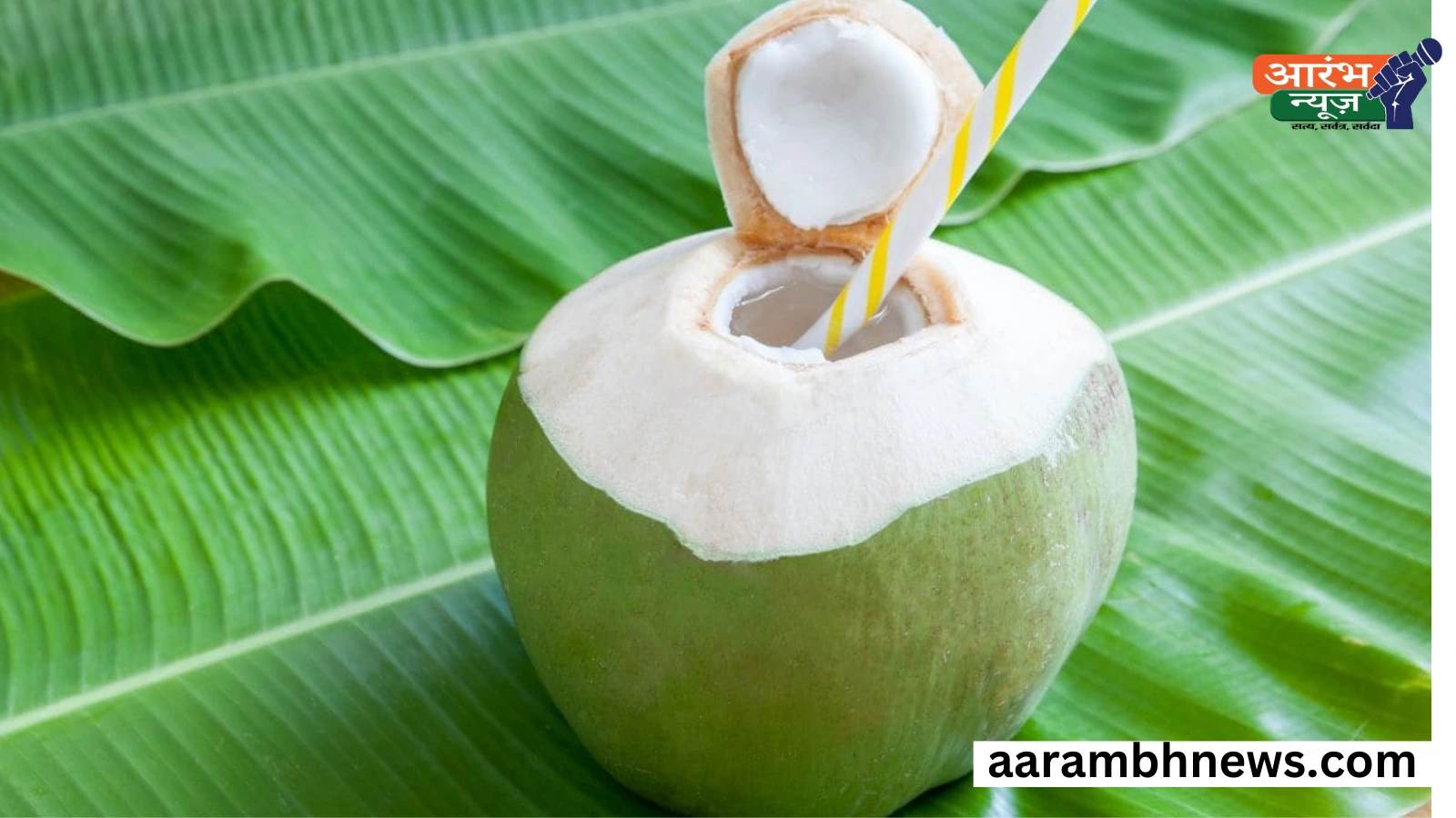 Coconut Water: नारियल पानी पीने के नुकसान; किन लोगों को नहीं पीना चाहिए? 1 Coconut Water