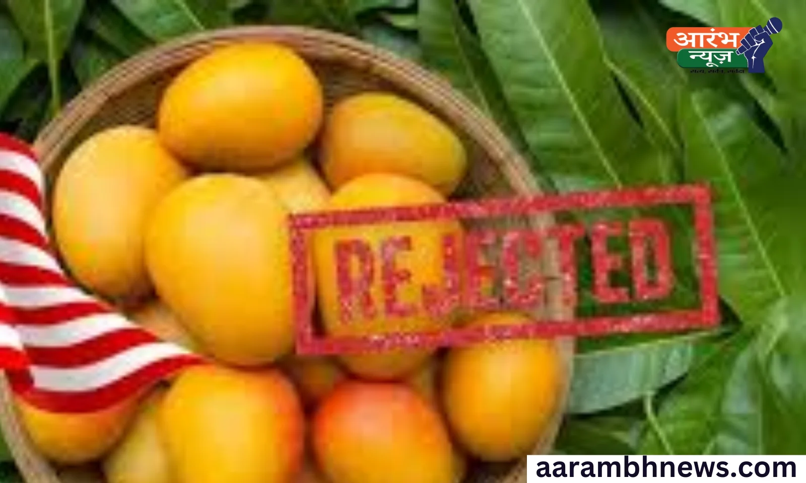 Indian Mangoes Destroyed in US: अमेरिकी अधिकारियों ने भारतीय आमों की 15 खेप नष्ट की, 4 करोड़ रुपये का नुकसान 1 Indian Mangoes Destroyed in US: अमेरिकी अधिकारियों ने भारतीय आमों की 15 खेप नष्ट की, 4 करोड़ रुपये का नुकसान