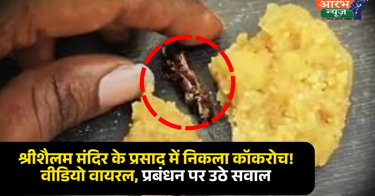 Cockroach In Prasad