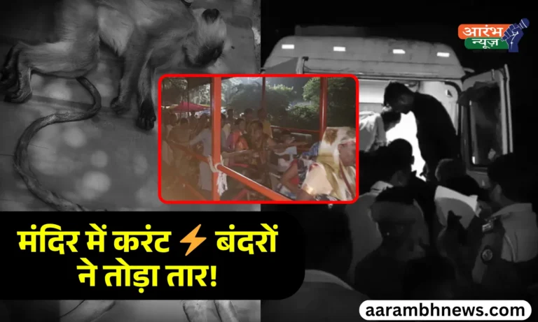 Barabanki Stampede बंदरों ने तोड़ा Electric Wire, Temple में फैला करंट, मची भगदड़ — 2 की मौत, 30 घायल