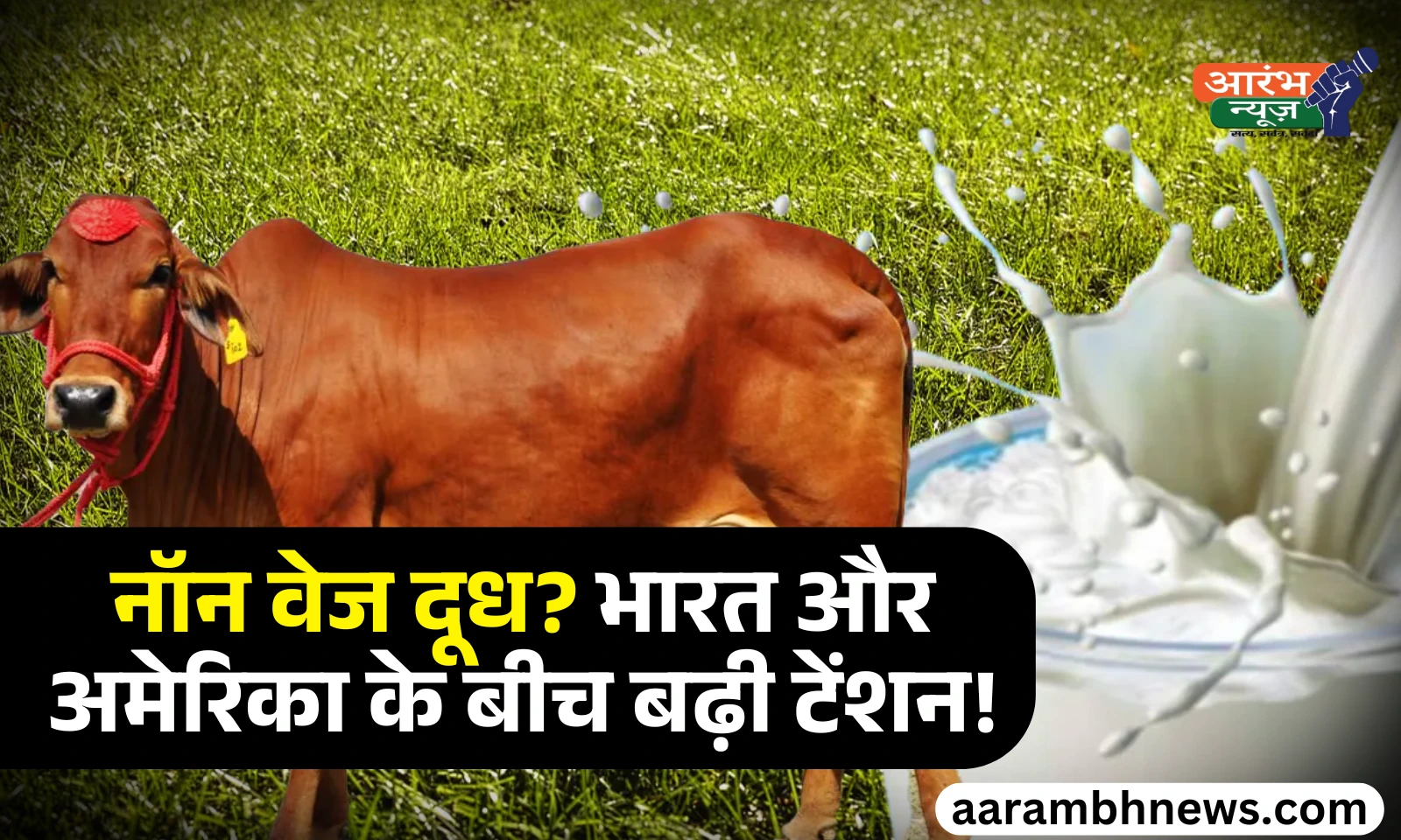 Non-veg milk controversy: "नॉन वेज दूध" विवाद, क्या भारत-अमेरिका व्यापार समझौता फंस जाएगा? 1 Non-veg milk controversy