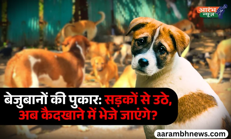 Connaught Place dog lovers protest