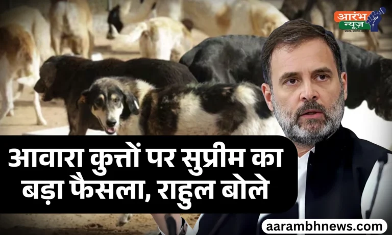 Delhi NCR stray dogs removal