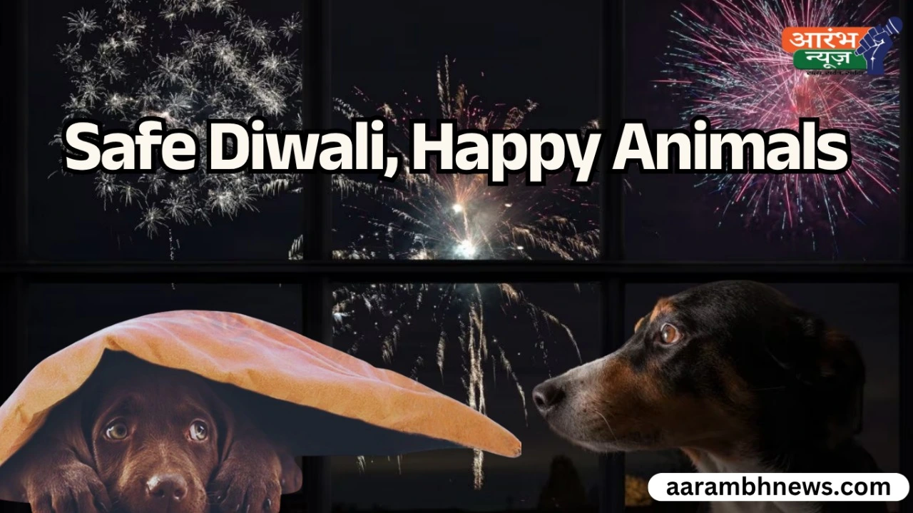 firecrackers impact on animals