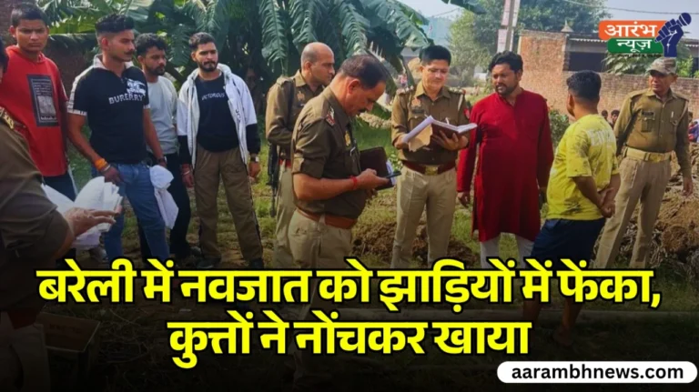 newborn thrown in bushes