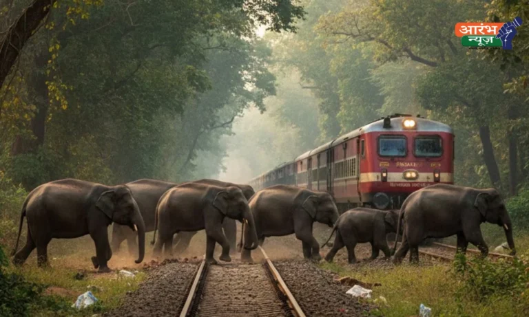 Assam train accident