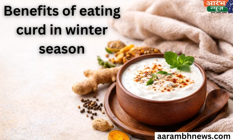 Curd in winter benefits
