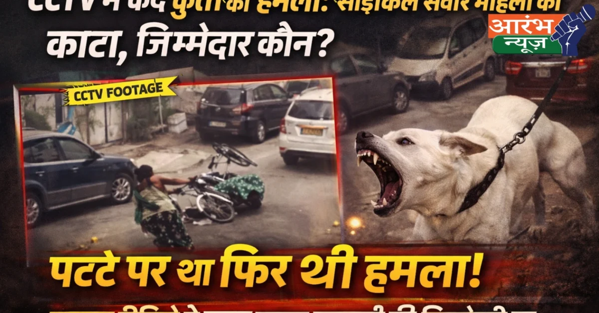 Dog Attack CCTV Video