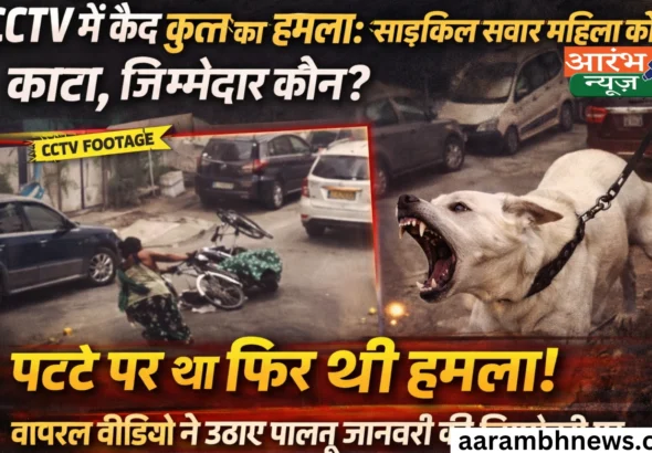 Dog Attack CCTV Video