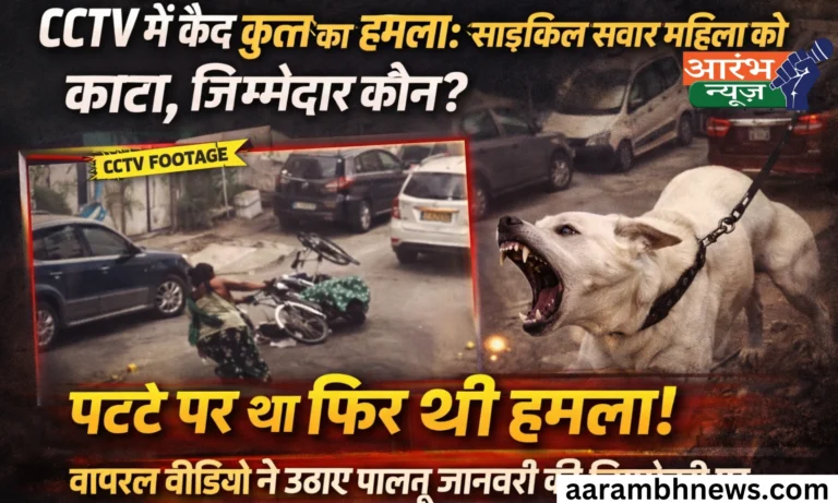 Dog Attack CCTV Video