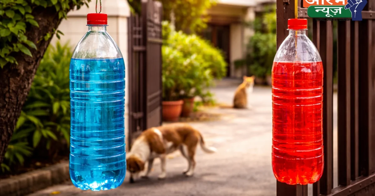 Blue Bottle Outside House