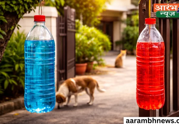 Blue Bottle Outside House