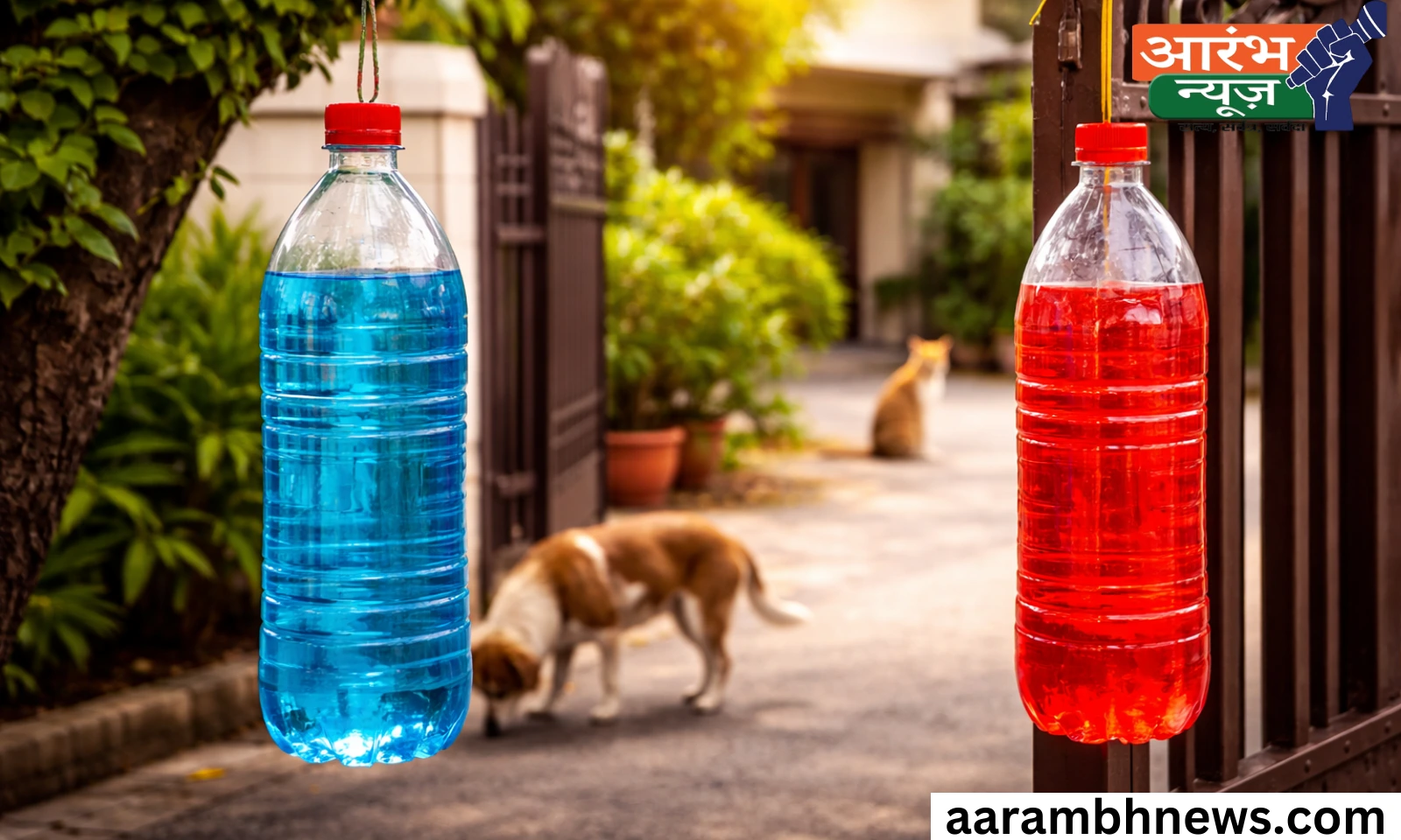 Blue Bottle Outside House
