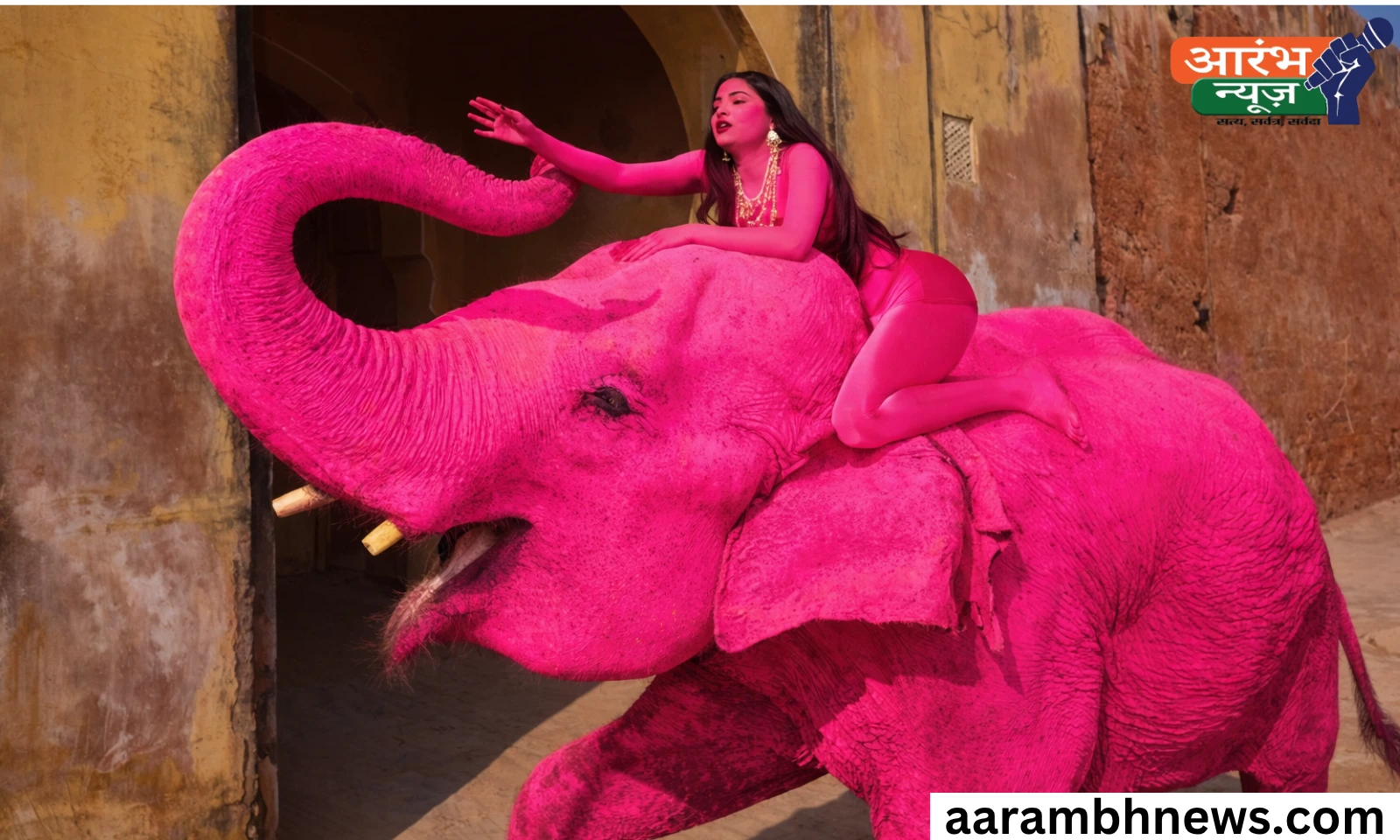 Jaipur Pink Elephant Case