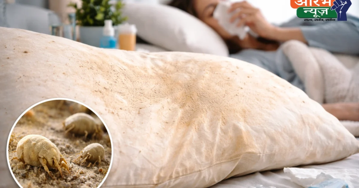 Dirty Pillow Alert: